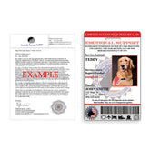 Emotional Support Housing Letter & Registration